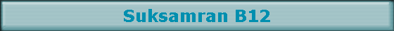 Suksamran B12